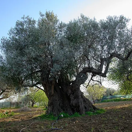 Holiday home Caterina Agrigento